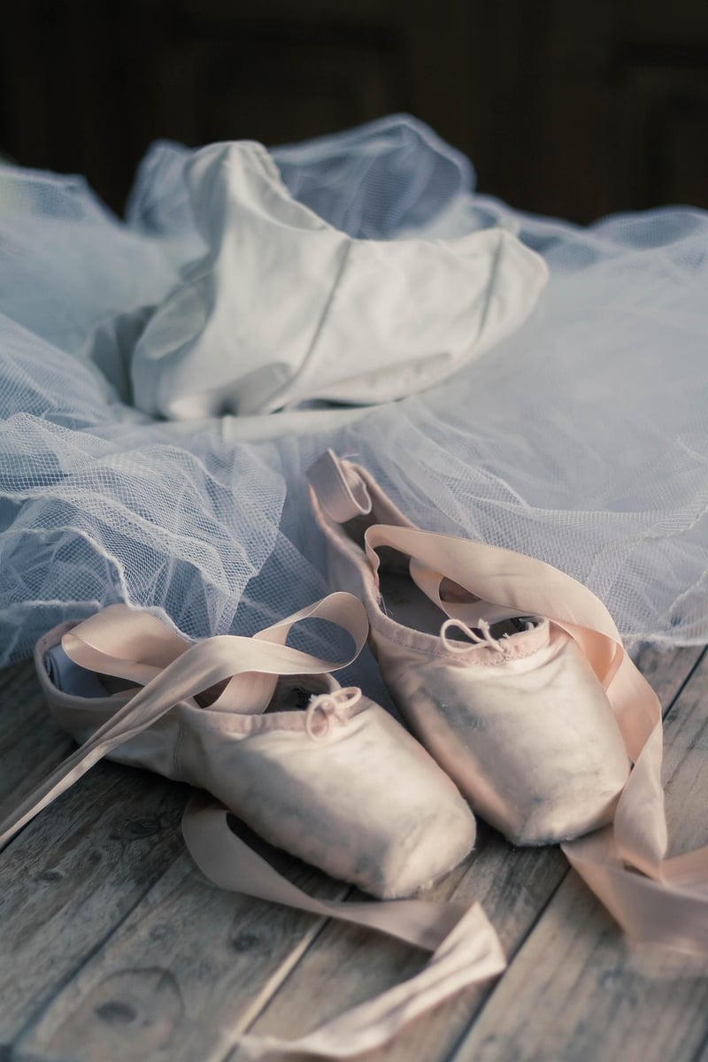 Ballet Fitness